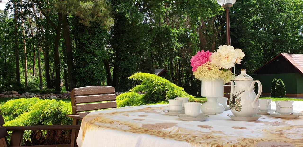 Villa Maniszewo Serbow エクステリア 写真